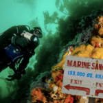 Progress is being made to have a new marine protected area near Vancouver Island.