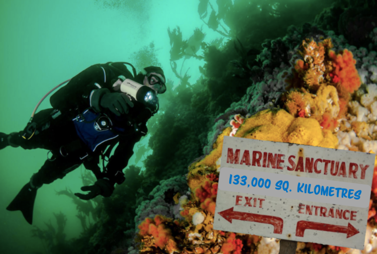 Progress is being made to have a new marine protected area near Vancouver Island.