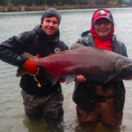 Massive salmon are frequently observed by residents living near Wannock River on B.C.'s central coast.
