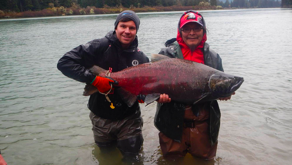 Massive salmon are frequently observed by residents living near Wannock River on B.C.'s central coast.