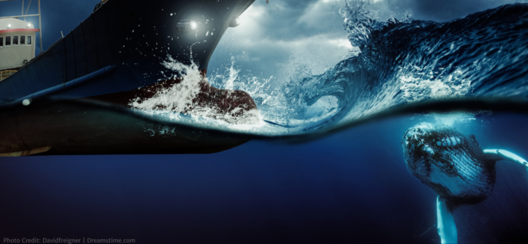 New Underwater Sensors Off Vancouver Island Could Stop Ships From Hitting And Killing Whales.