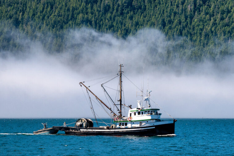 A small fishing boat on the coast of British Columbia.