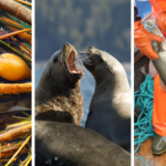 Stay tuned for West Coast Now coverage.