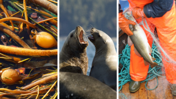 Stay tuned for West Coast Now coverage.