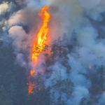 Among the 82 wildfires burning in British Columbia, the Cameron Bluffs wildfire is one of 33 categorized as being out of control. Since April 1, wildfires in the province have consumed over 520,000 hectares, surpassing the combined area burned during 16 of the previous 20 wildfire seasons. This alarming statistic was revealed by the emergency management minister.