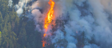 Among the 82 wildfires burning in British Columbia, the Cameron Bluffs wildfire is one of 33 categorized as being out of control. Since April 1, wildfires in the province have consumed over 520,000 hectares, surpassing the combined area burned during 16 of the previous 20 wildfire seasons. This alarming statistic was revealed by the emergency management minister.