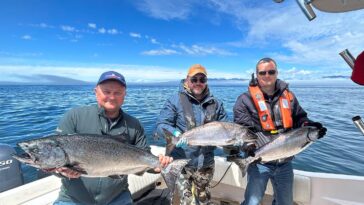 Sportfishers in Port Renfrew celebrate their successful day on the water, proudly displaying the magnificent Chinook salmon they reeled in.