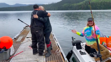 B.C. is home to a healthy population of Pacific halibut (Hippoglossus stenolepis). The region's cold, nutrient-rich waters provide an ideal habitat for halibut, allowing them to grow to impressive sizes.