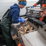 Woman working at a small-scale fishery in British Columbia, Canada.