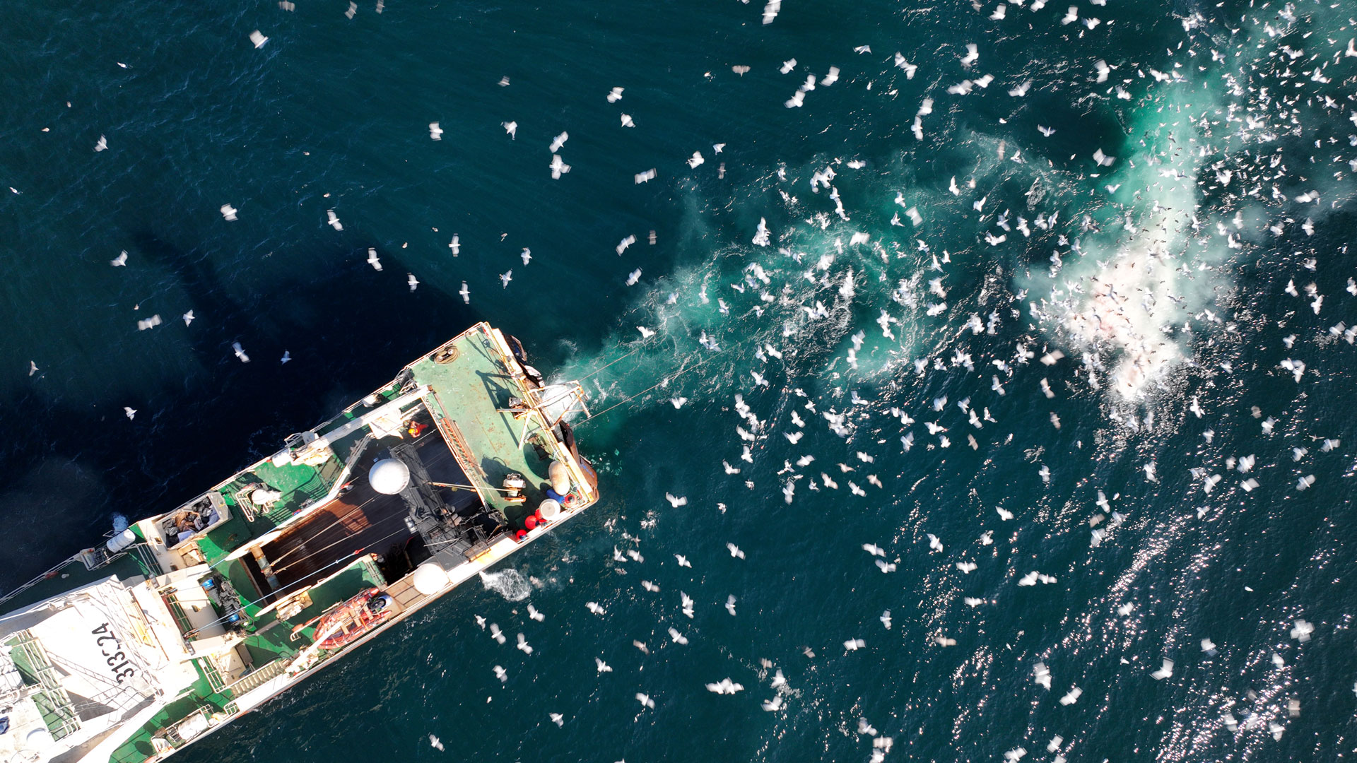 Factory trawler in the ocean.