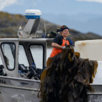 A woman holding kelp on a boat.