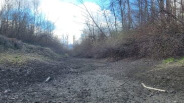 A dry channel close to Backwash Slough in Chilliwack.