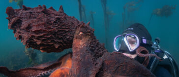 Octopus expert and diver Krystal Janicki, clad in scuba gear, poses next to a giant Pacific octopus while filming underwater