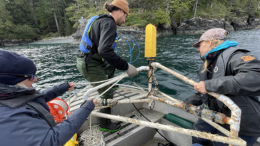 Volunteers lower a hydrophone into the water from a boat
