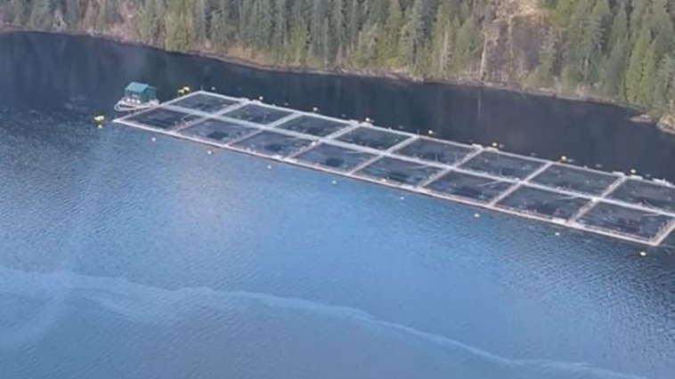 Cermaq fish farm