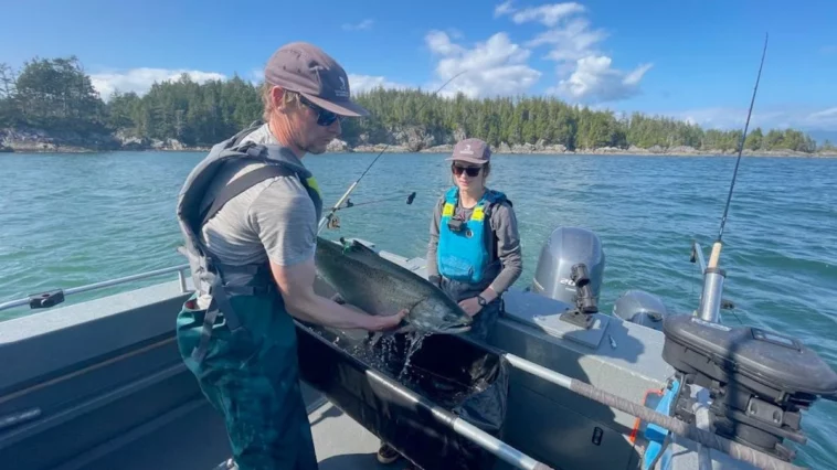 UBC Researchers studying impacts of catch-and-release methods in sports fishing.