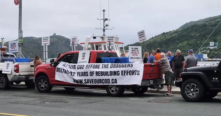 FFAW-Unifor organized cod giveaways in St. John’s.